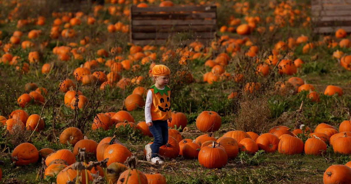 Rhône : des écoliers privés de fête d'Halloween en raison de leur comportement